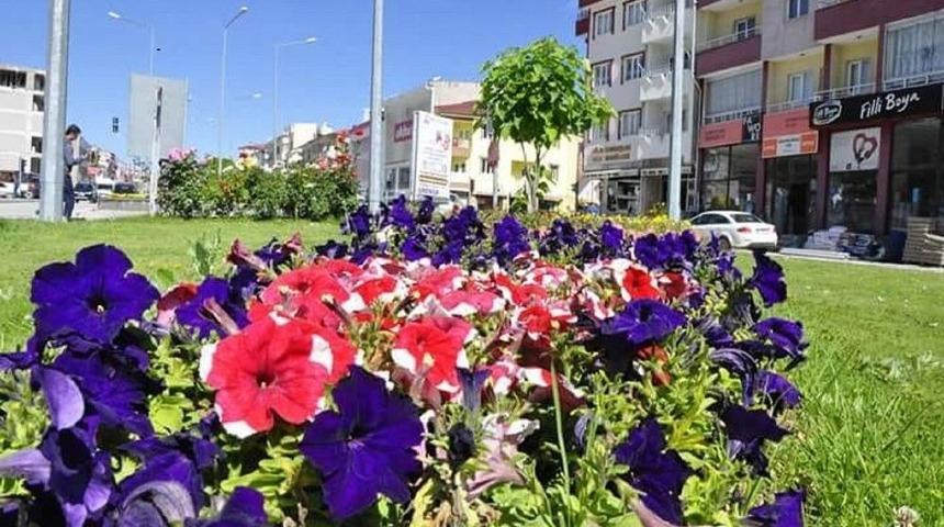 G&uuml;r&uuml;n Rengarenk &Ccedil;i&ccedil;ek A&ccedil;tı