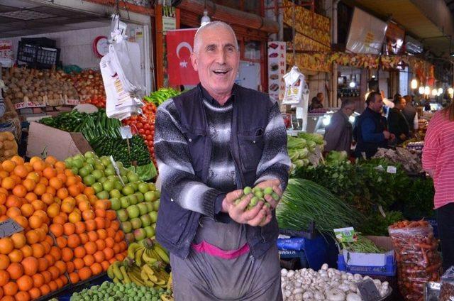 Kayısı Çağlası Tezgaha İndi