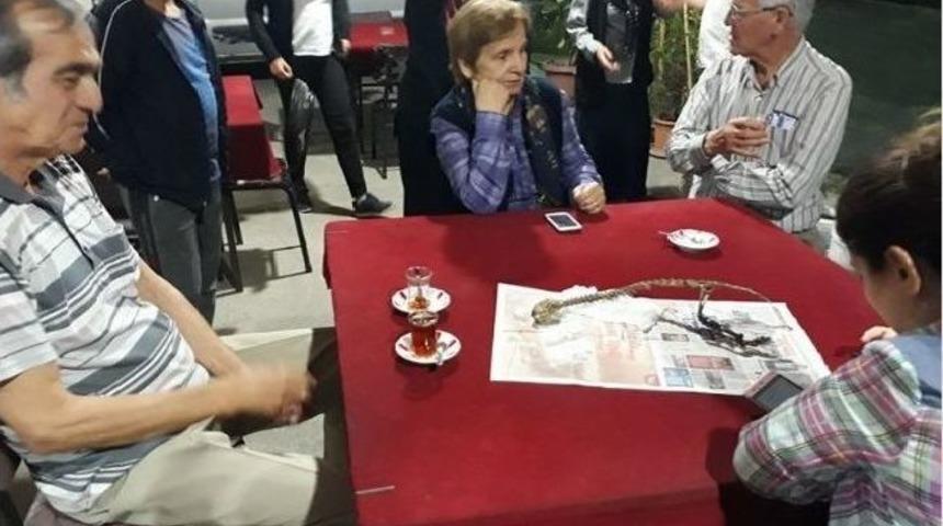 (&ouml;zel) K&ouml;yl&uuml;lerin Bulduğu Hayvan İskeleti Gizemini Koruyor