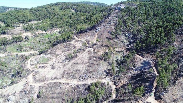 Zeytinköy’de Orman Yangınının İzleri Siliniyor 1