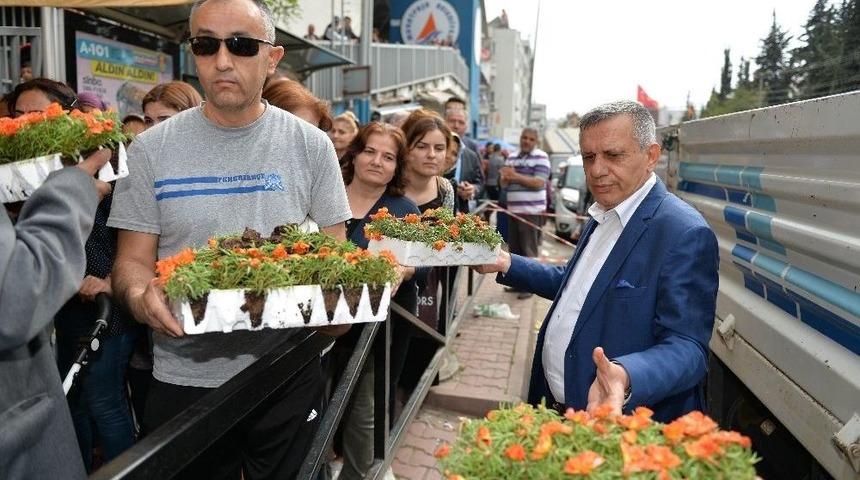 Muratpaşa, Fide Ve File Dağıttı.