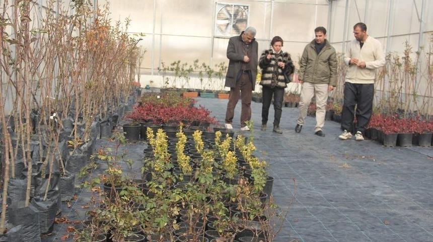 M&uuml;d&uuml;r Şimşek K&ouml;ylerdeki Seraları Ziyaret Etti