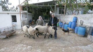 Büyükşehir’den Şehit Yakınlarına Destek