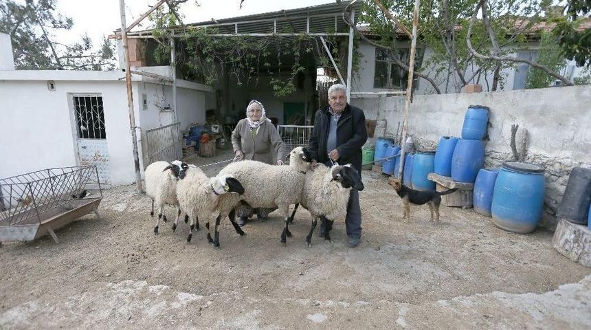 Büyükşehir’den Şehit Yakınlarına Destek