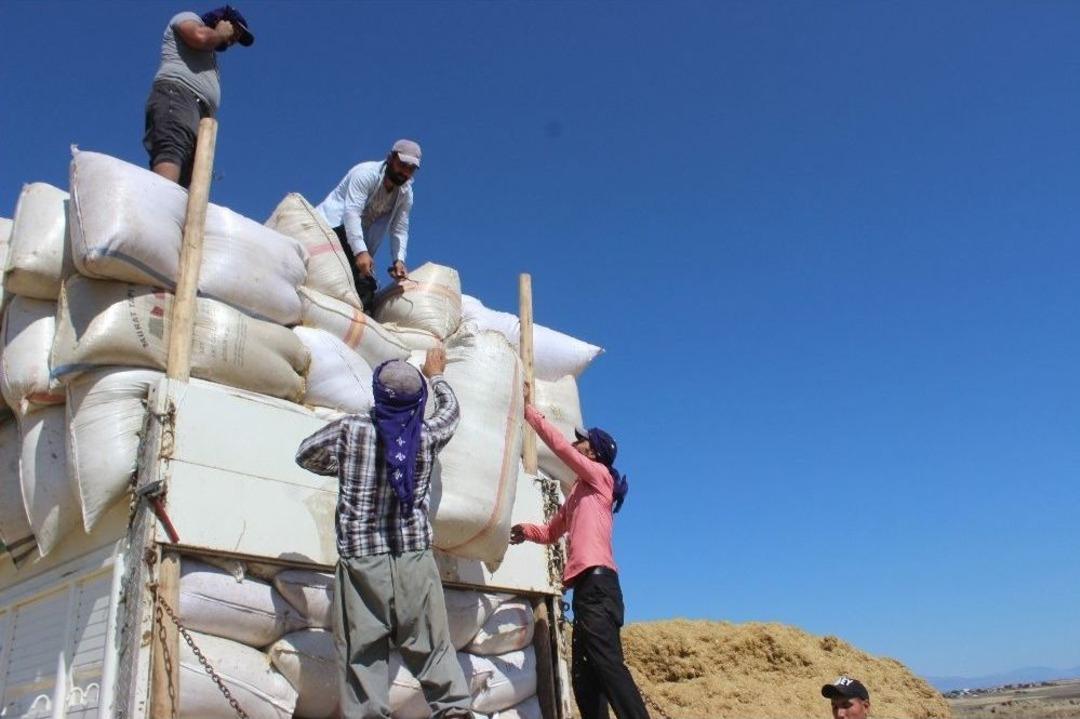 (&ouml;zel Haber) Ramazan Ayında Saman İş&ccedil;ilerinin Zorlu M&uuml;cadelesi
