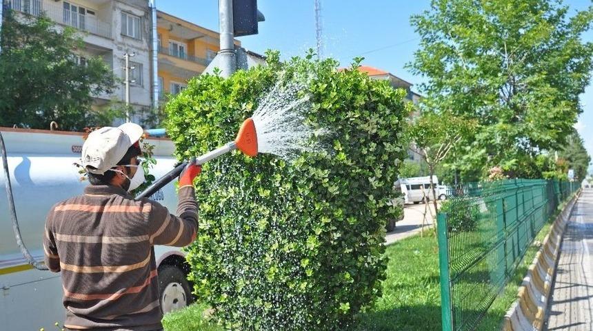 Ağa&ccedil; İla&ccedil;lama &Ccedil;alışmaları Devam Ediyor