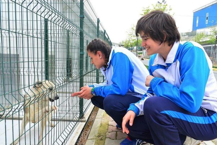 Voleybolcular Duyarlılıklarıyla Göz Doldurdu G2