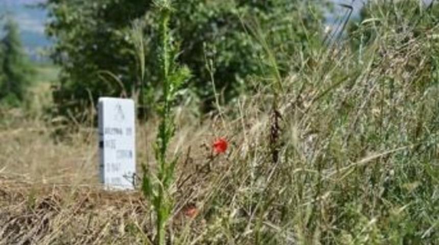 Sosyal Medyadan Mezarlık Temizliği &Ccedil;ağrısı