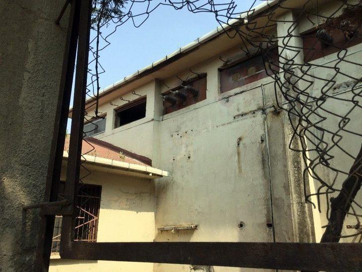 Elektrik Trafosuna Giren Hırsız, Yanarak Can Verdi G2