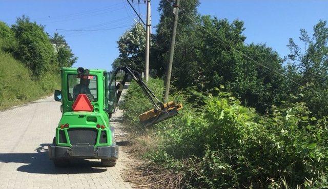 Sapanca’da Mevsimsel Bakım Başladı