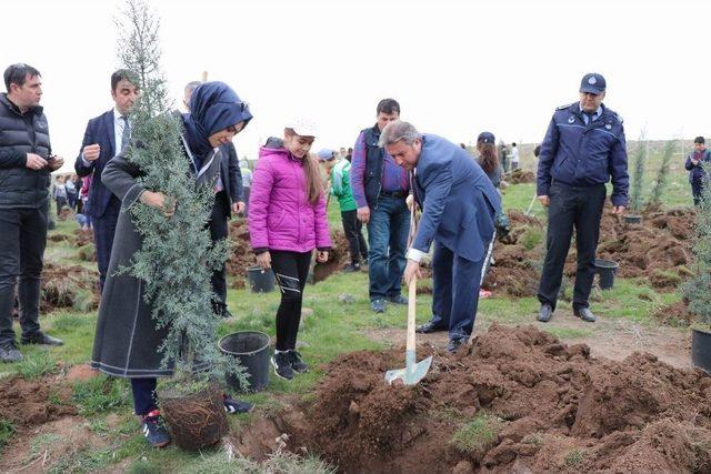 Tekden Koleji Öğrencileri 200 Fidanı Toprakla Buluşturdu