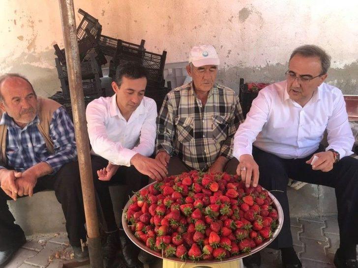 Karaçoban’dan Tülbent Devrimine Destek G2