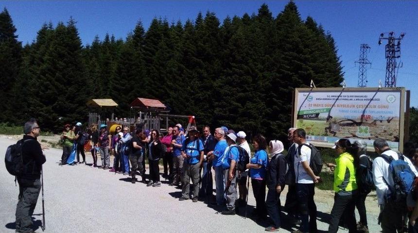 &Ccedil;evre İ&ccedil;in Doğa Y&uuml;r&uuml;y&uuml;ş&uuml;