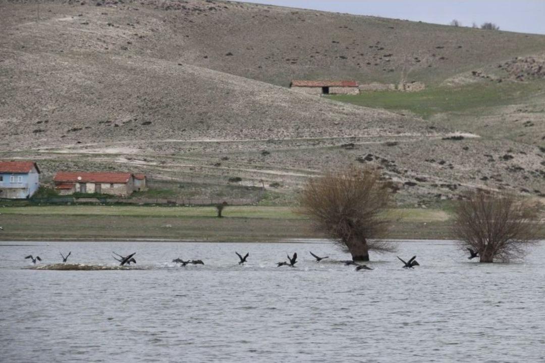 Seyitgazi&rsquo;de Bahar &Ccedil;oşkusu