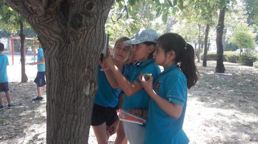 "okul Dışarıda G&uuml;n&uuml;" Etkinliği