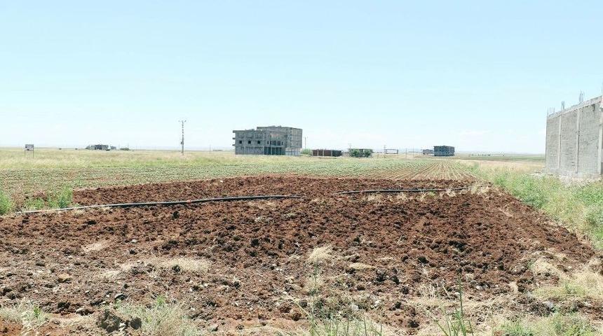 &Ccedil;ift&ccedil;iyi &Ouml;nce Kuraklık Sonra Yağmur Vurdu