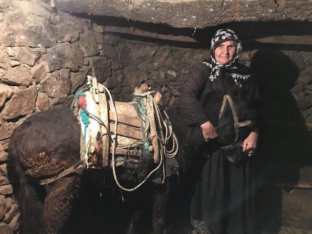 Düğün Erteleten Dolandırıcılık 1