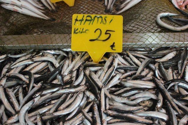Balıkçılar Yüksek Balık Fiyatını Bu Nedene Bağlıyor