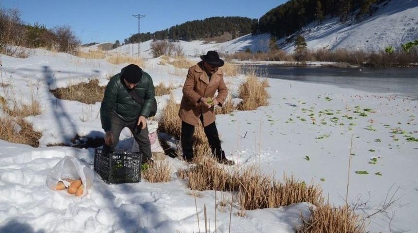 Sarıkamış&rsquo;ta Duyarlı Esnaf Yaban Hayata Sahip &Ccedil;ıktı