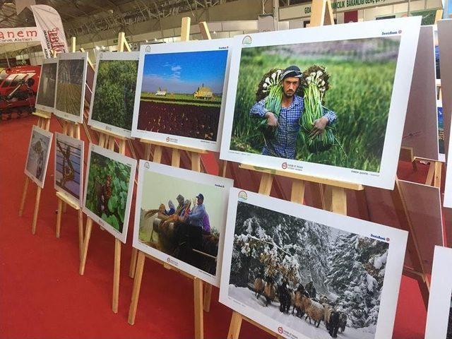 12. Tarım Fuarında “tarım Ve İnsan” Konulu Fotoğraf Sergisi