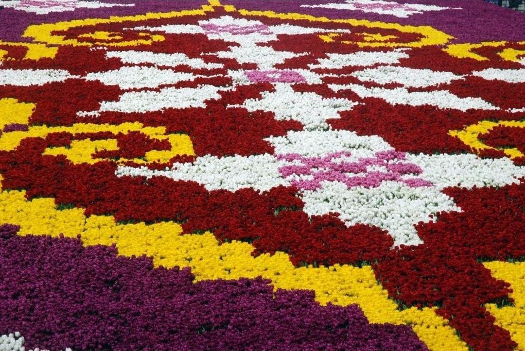 D&uuml;nyanın En B&uuml;y&uuml;k Lale Halısı Sultanahmet&rsquo;te G&ouml;r&uuml;c&uuml;ye &Ccedil;ıktı