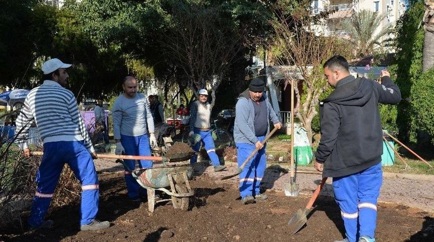 Muratpaşa Mevsimlik &Ccedil;i&ccedil;ek Dikmeye Başladı