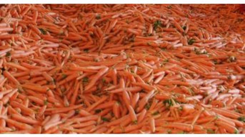 Bölgenin Zam Şampiyonu Havuç Oldu