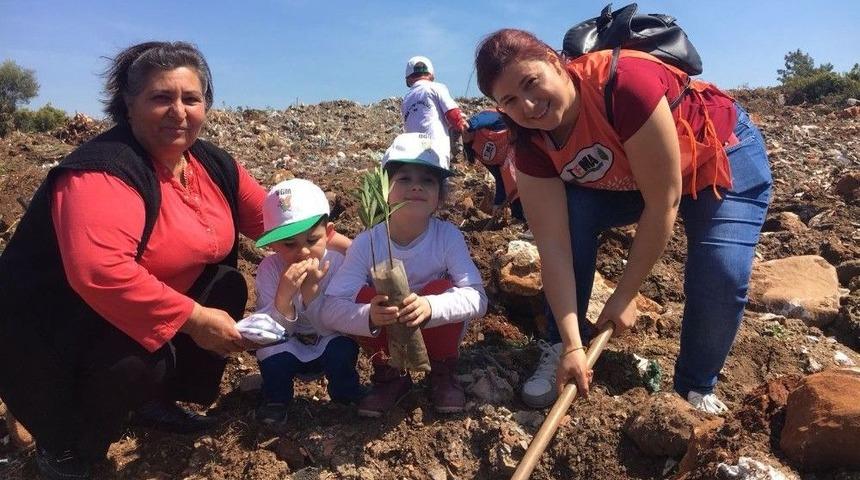 Milas&rsquo;ta 150 Fidan Toprakla Buluştu