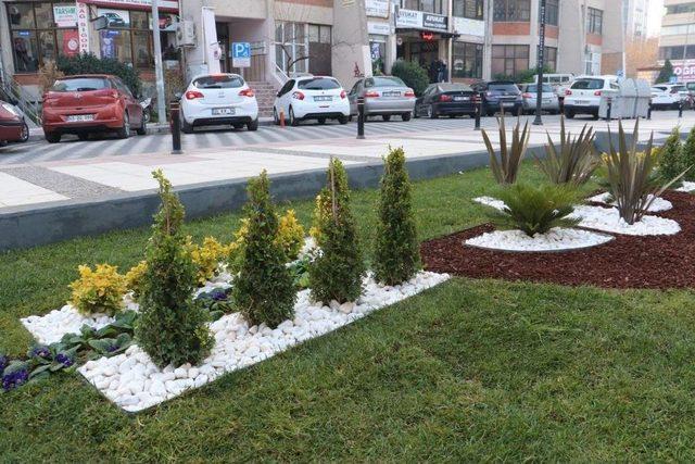 Yarhasanlar Camii Çevresi Artık Daha Güzel