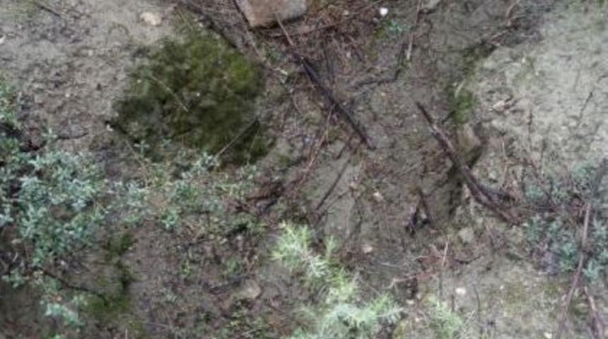 Ormanlık Alanda Mezar Kazdığı İddia Edilen 1 Kişi Yakalandı