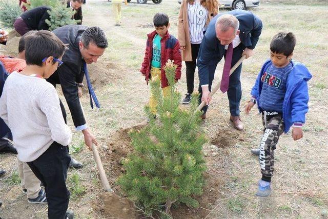 Bereket Ormanı Yeni Fidanlarla “bereketlendi”