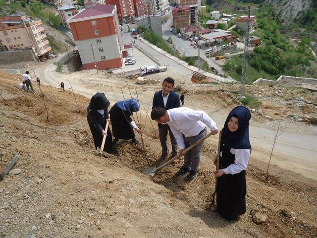 Kürtün’de Meyve Fidanları Toprakla Buluştu