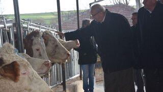 Başkan Albayrak, Büyükbaş Hayvan Dağıtım Etkinliğine Katıldı