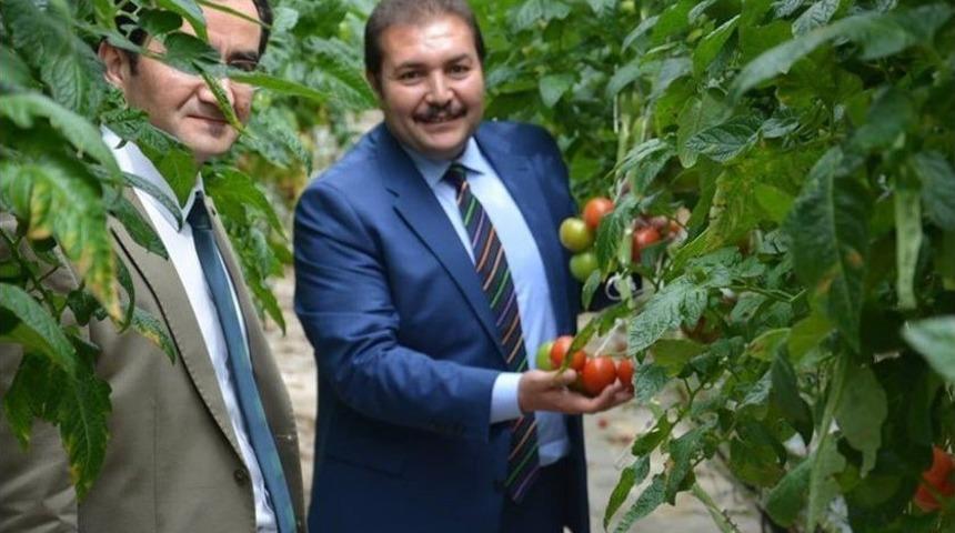 Edremitli &Ouml;ğrencilerin &Ccedil;iftlik Gezisi