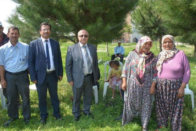 Romanlar Kendi Günlerinde Gönüllerince Eğlendi 2