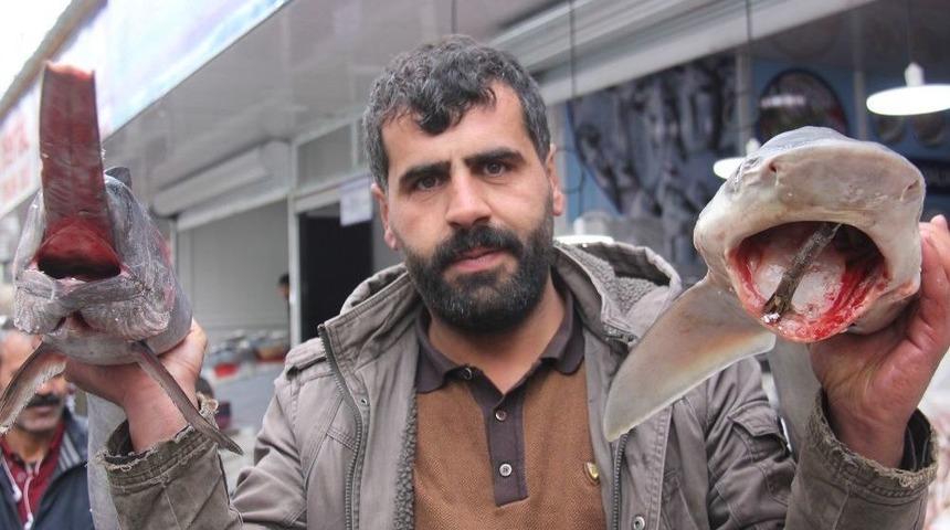 K&ouml;pek Balığı Ve Kılı&ccedil; Balığını İlk Kez G&ouml;renler Fotoğraf &Ccedil;ektiriyor