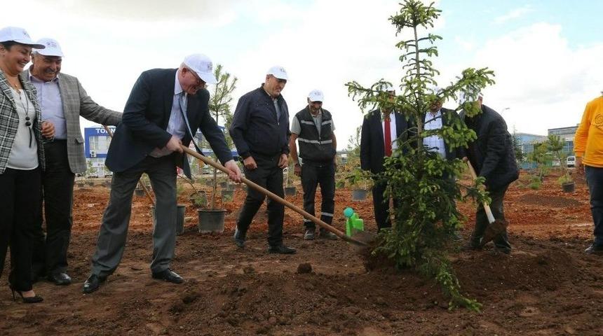 Odunpazarı Belediyesi &Ccedil;evre &Ccedil;alışmaları