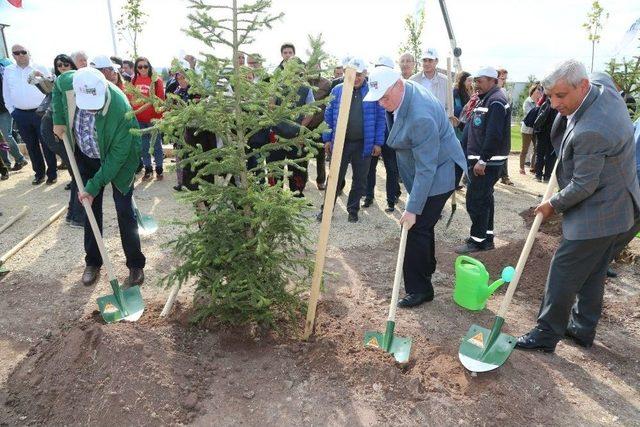 Odunpazarı Belediyesi Çevre Çalışmaları