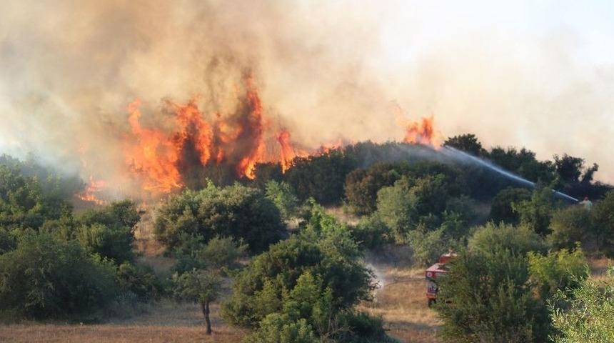 Afad’tan Orman Yangınlarına Karşı Uyarı