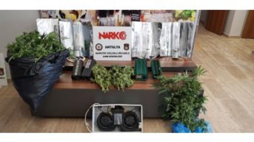 Antalya&rsquo;da Esrar Maddesi Ve Hint Keneviri Ele Ge&ccedil;irildi