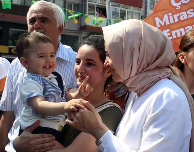 Bakan Fatma Betül Sayan Kaya: “biz İktidarlarımız Döneminde Milyarlarca Fidan Diktik