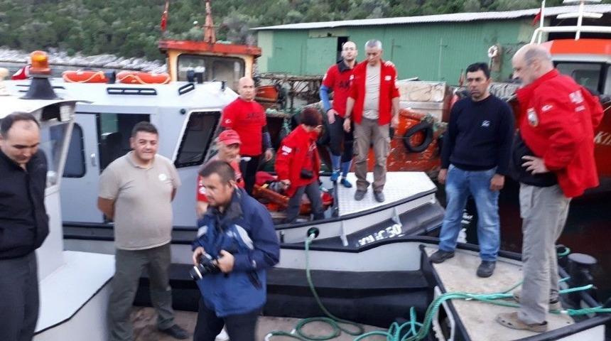 Bodrum’da Albino Seferberliği