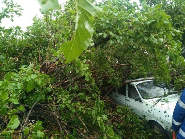 Fırtına Adana’da Ağaçları Kökünden Söktü G2