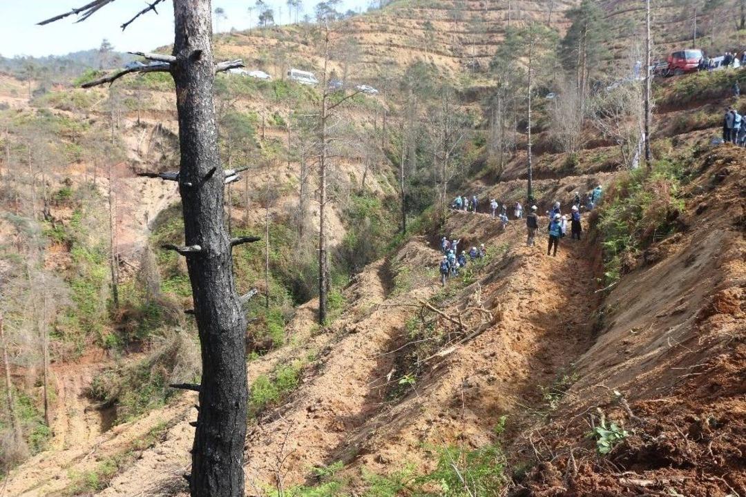&Ccedil;amburnu&rsquo;nun Yaraları Sarılıyor