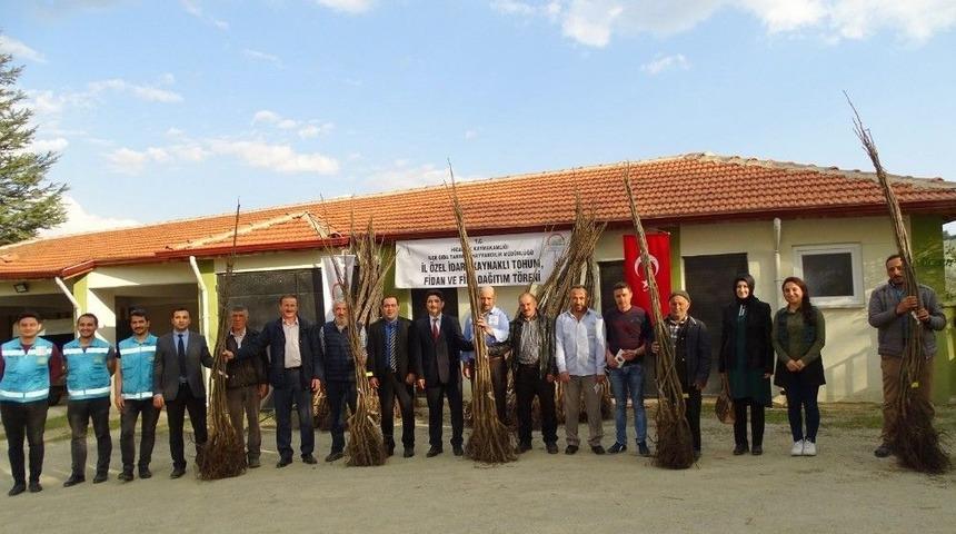 Hisarcıklı &Ccedil;ift&ccedil;ilere 560 Ceviz Fidanı Dağıtıldı