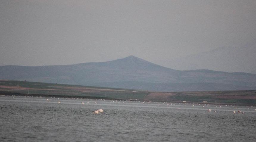 Seyfe G&ouml;l&uuml;ne Kuş Akını