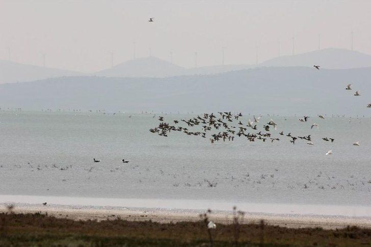 Seyfe Gölünde Kartpostallık Görüntüler G1