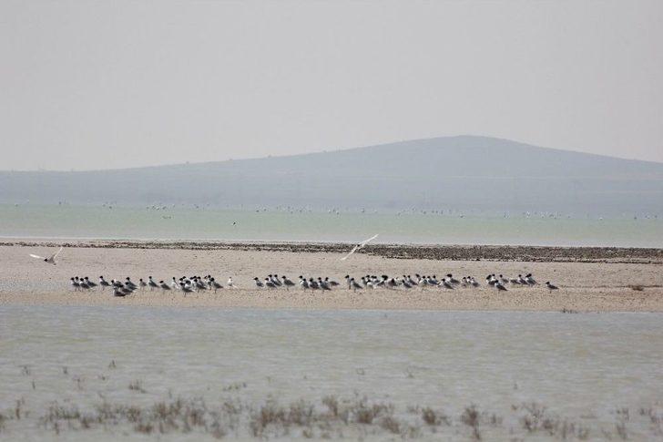 Seyfe Gölünde Kartpostallık Görüntüler G2