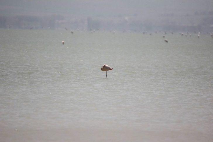 Seyfe Gölünde Kartpostallık Görüntüler G4