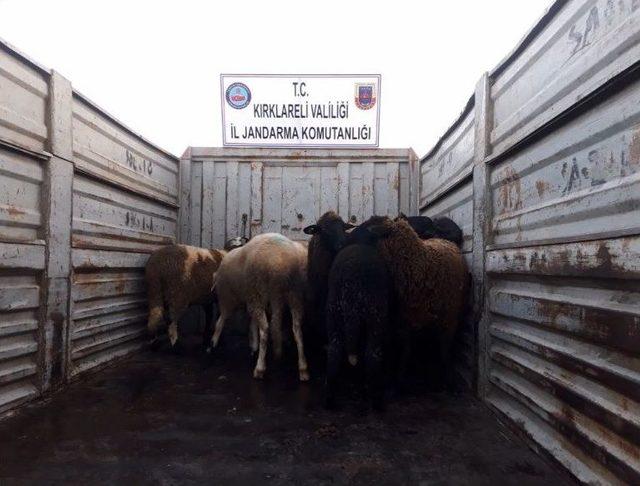 Kırklareli’nde Suç Örgütüne Dev Operasyon: 9’u Memur 32 Gözaltı